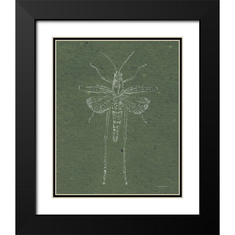 Now Climb Young Grasshopper Black Modern Wood Framed Art Print with Double Matting by Kamdon Kreations