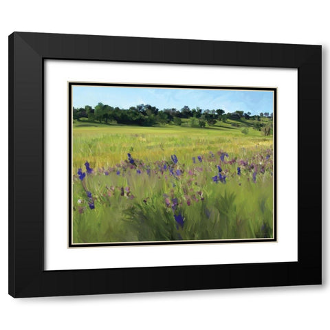 Bidwell Park Black Modern Wood Framed Art Print with Double Matting by Kamdon Kreations