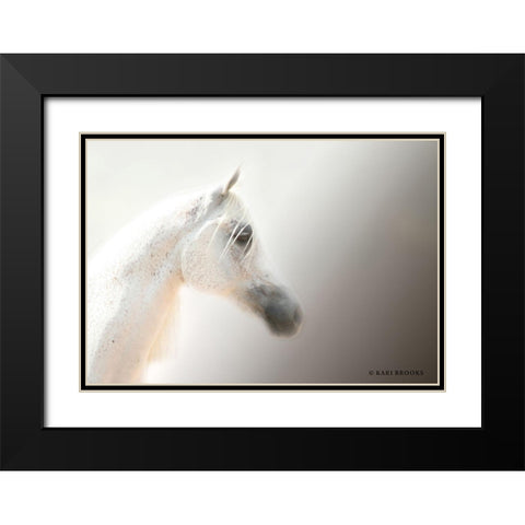 Flea-Bitten I Black Modern Wood Framed Art Print with Double Matting by Brooks, Kari