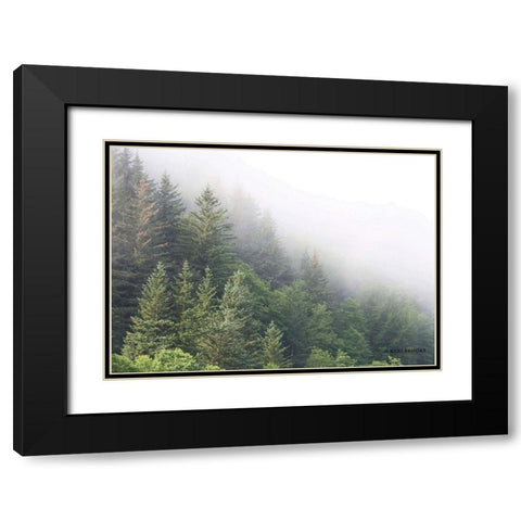 Alaska Green Trees I Black Modern Wood Framed Art Print with Double Matting by Brooks, Kari