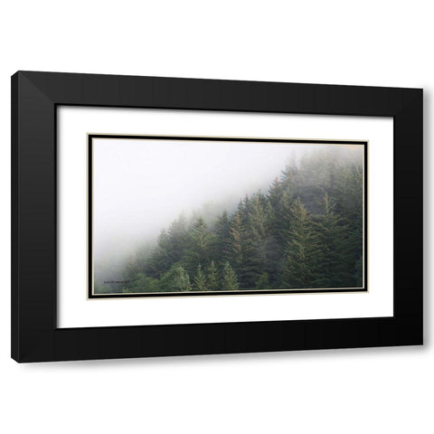 Alaska Green Trees II Black Modern Wood Framed Art Print with Double Matting by Brooks, Kari