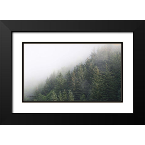 Alaska Green Trees II Black Modern Wood Framed Art Print with Double Matting by Brooks, Kari