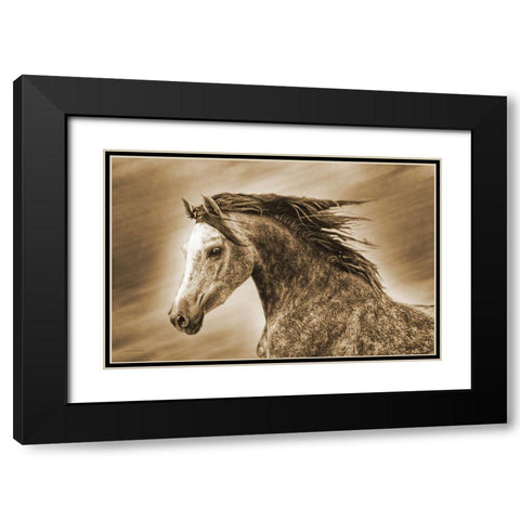Addie Gray Black Modern Wood Framed Art Print with Double Matting by Brooks, Kari