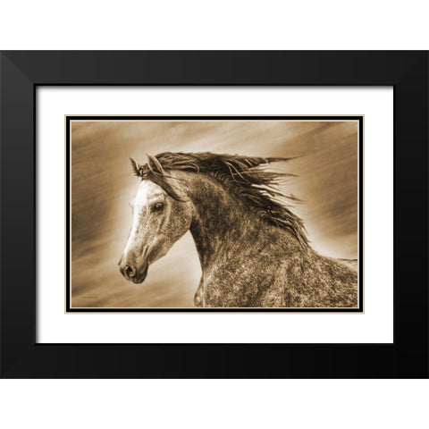 Addie Gray Black Modern Wood Framed Art Print with Double Matting by Brooks, Kari