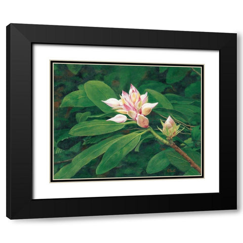 A Whisper of Pink Black Modern Wood Framed Art Print with Double Matting by Sherrill, Kate