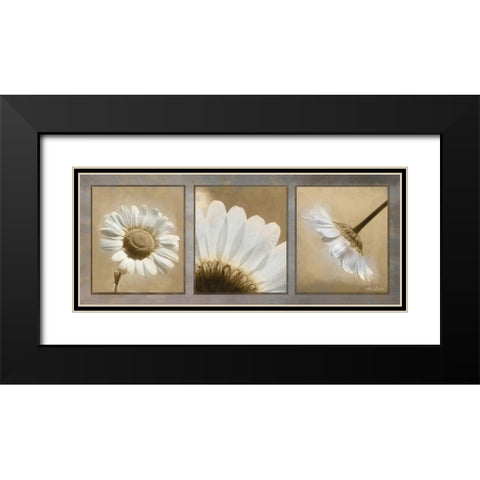Daisy Trio Black Modern Wood Framed Art Print with Double Matting by Deiter, Lori