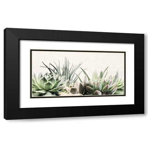 Soft Succulents II Black Modern Wood Framed Art Print with Double Matting by Deiter, Lori