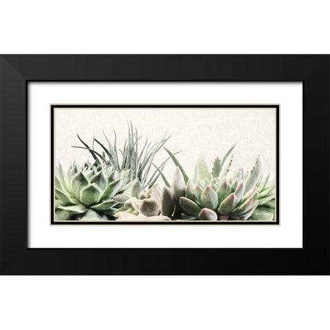 Soft Succulents II Black Modern Wood Framed Art Print with Double Matting by Deiter, Lori