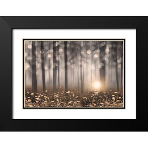 Enchanted Morning Black Modern Wood Framed Art Print with Double Matting by Deiter, Lori