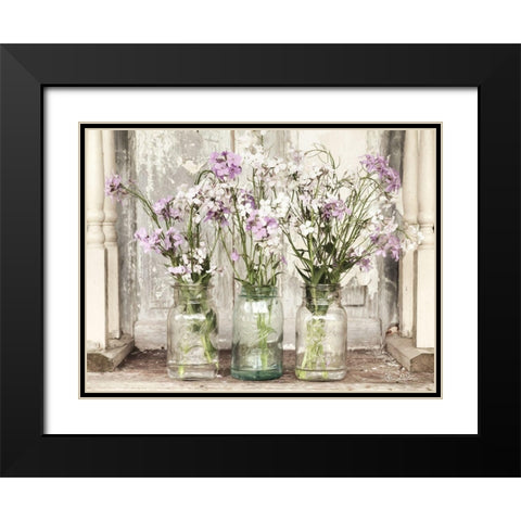 Roadside Beauties  Black Modern Wood Framed Art Print with Double Matting by Deiter, Lori