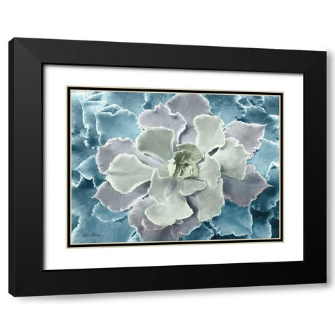 Multi-color Succulent  Black Modern Wood Framed Art Print with Double Matting by Deiter, Lori