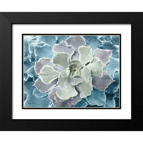 Multi-color Succulent  Black Modern Wood Framed Art Print with Double Matting by Deiter, Lori