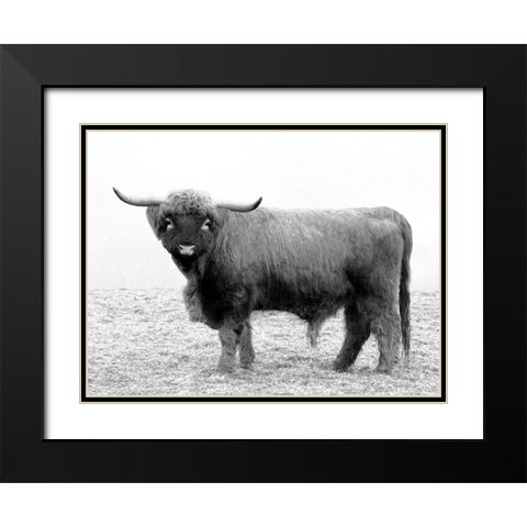 Scotty the Bull Black Modern Wood Framed Art Print with Double Matting by Deiter, Lori