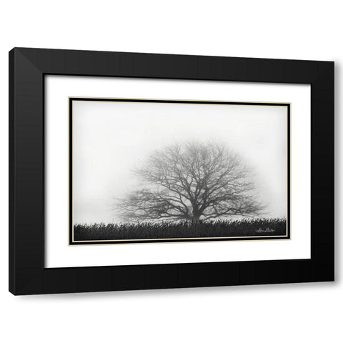 Foggy Old Tree Black Modern Wood Framed Art Print with Double Matting by Deiter, Lori