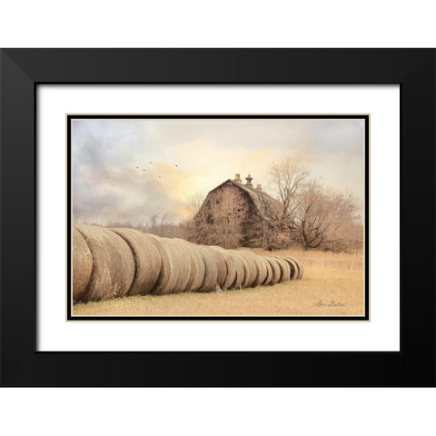 Good Day on the Farm Black Modern Wood Framed Art Print with Double Matting by Deiter, Lori