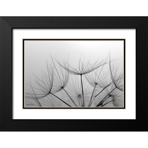 Love is a Delicate Flower  Black Modern Wood Framed Art Print with Double Matting by Deiter, Lori