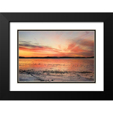 Fire and Ice Black Modern Wood Framed Art Print with Double Matting by Deiter, Lori