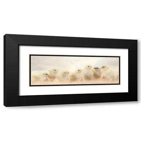 Spring Line Up Black Modern Wood Framed Art Print with Double Matting by Deiter, Lori