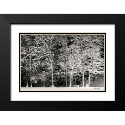 Snowy Trees Black Modern Wood Framed Art Print with Double Matting by Deiter, Lori