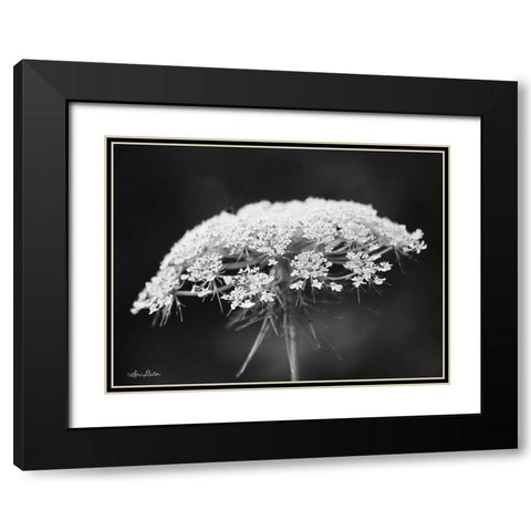 Queen Annes Lace Black Modern Wood Framed Art Print with Double Matting by Deiter, Lori