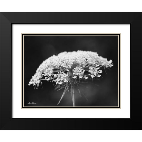 Queen Annes Lace Black Modern Wood Framed Art Print with Double Matting by Deiter, Lori
