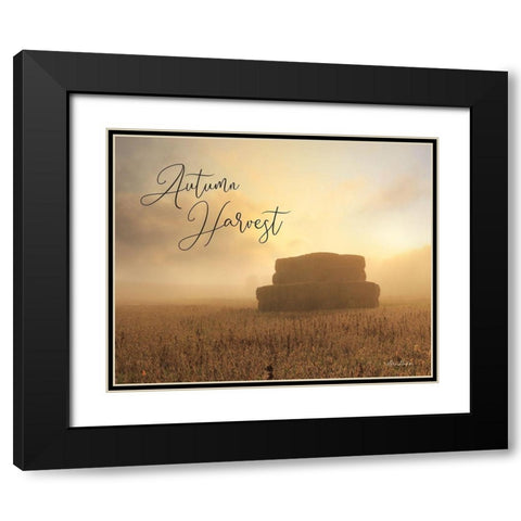 Autumn Hay Harvest     Black Modern Wood Framed Art Print with Double Matting by Deiter, Lori