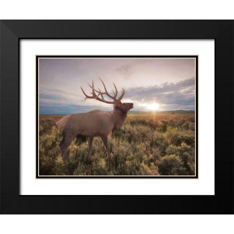 Jackson Sunrise with Elk     Black Modern Wood Framed Art Print with Double Matting by Deiter, Lori