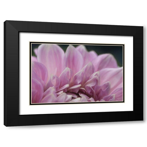 A Fresh Start Black Modern Wood Framed Art Print with Double Matting by Deiter, Lori
