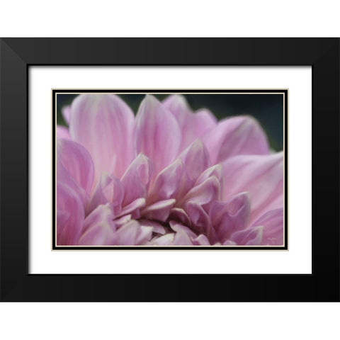 A Fresh Start Black Modern Wood Framed Art Print with Double Matting by Deiter, Lori