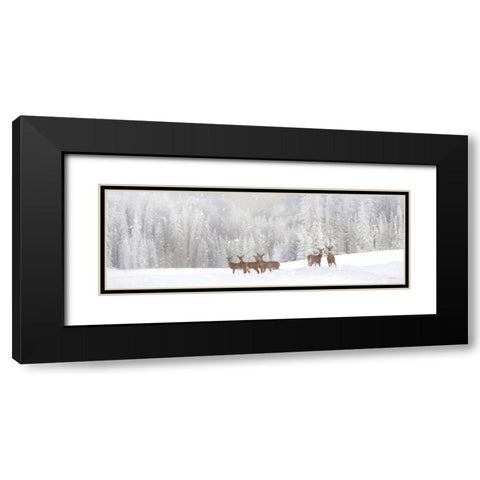 Christmas Deer Black Modern Wood Framed Art Print with Double Matting by Deiter, Lori