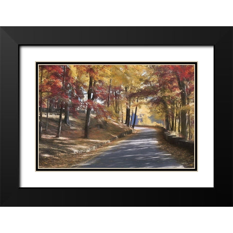 Autumn at Letchworth    Black Modern Wood Framed Art Print with Double Matting by Deiter, Lori