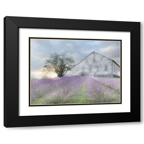 Summer Sunrise Black Modern Wood Framed Art Print with Double Matting by Deiter, Lori