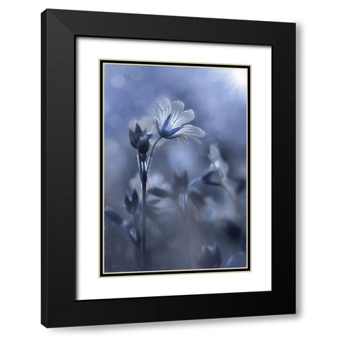 Blue and White Flowers I Black Modern Wood Framed Art Print with Double Matting by Deiter, Lori