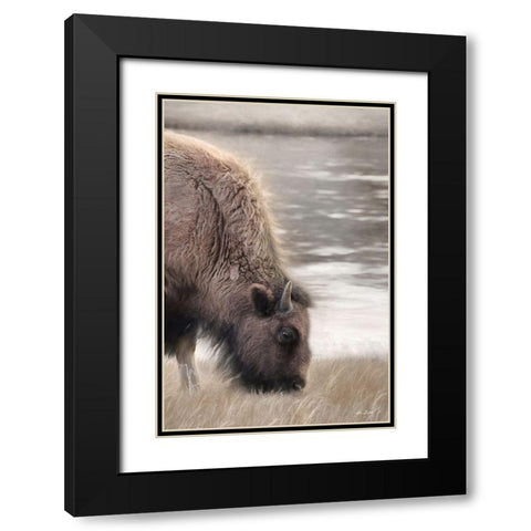 Yellowstone Buffalo Black Modern Wood Framed Art Print with Double Matting by Deiter, Lori
