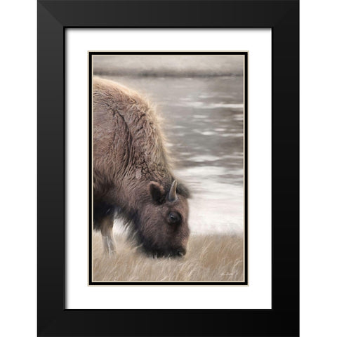 Yellowstone Buffalo Black Modern Wood Framed Art Print with Double Matting by Deiter, Lori