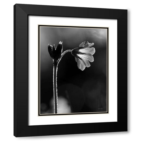 Black and White Flower Black Modern Wood Framed Art Print with Double Matting by Deiter, Lori