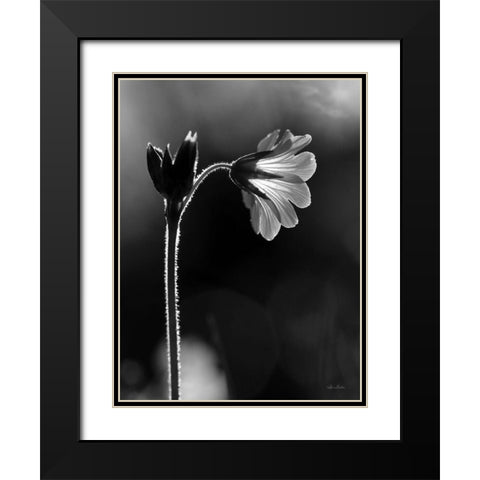 Black and White Flower Black Modern Wood Framed Art Print with Double Matting by Deiter, Lori