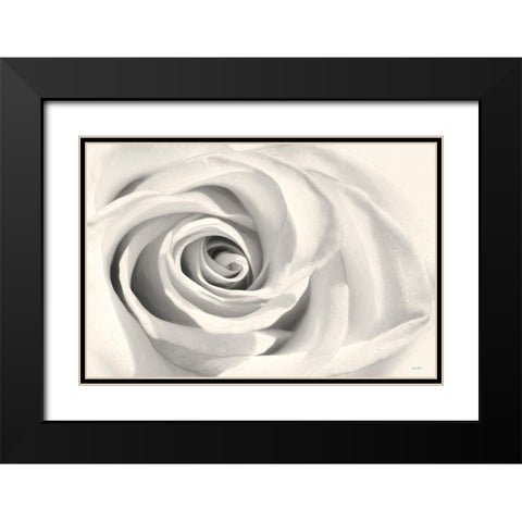 Rose II Black Modern Wood Framed Art Print with Double Matting by Deiter, Lori