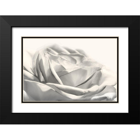 Rose III Black Modern Wood Framed Art Print with Double Matting by Deiter, Lori