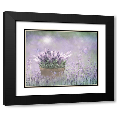 Lavender Basket Black Modern Wood Framed Art Print with Double Matting by Deiter, Lori