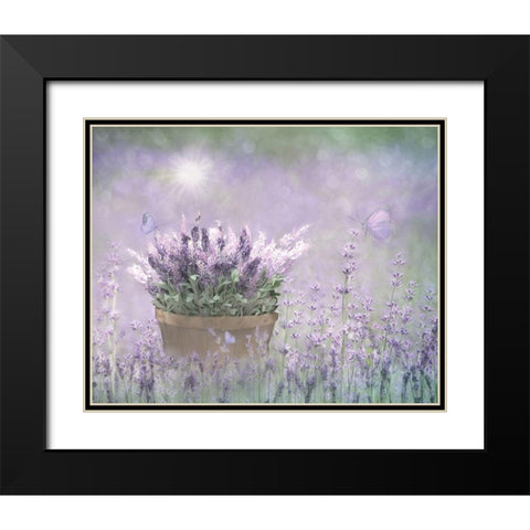 Lavender Basket Black Modern Wood Framed Art Print with Double Matting by Deiter, Lori