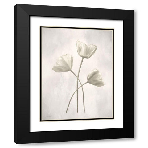 Bleached Tulips II Black Modern Wood Framed Art Print with Double Matting by Deiter, Lori