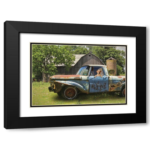Born to Ride Black Modern Wood Framed Art Print with Double Matting by Deiter, Lori