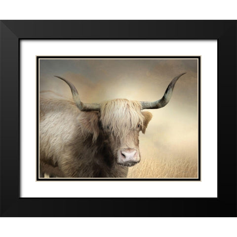 Highland Cow in Golden Grass Black Modern Wood Framed Art Print with Double Matting by Deiter, Lori