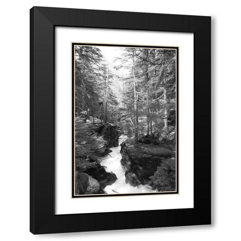 Avalanche Trail   Black Modern Wood Framed Art Print with Double Matting by Deiter, Lori