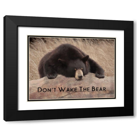 Dont Wake the Bear Black Modern Wood Framed Art Print with Double Matting by Deiter, Lori