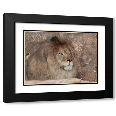 Leo the Lion Black Modern Wood Framed Art Print with Double Matting by Deiter, Lori