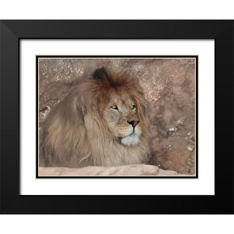Leo the Lion Black Modern Wood Framed Art Print with Double Matting by Deiter, Lori