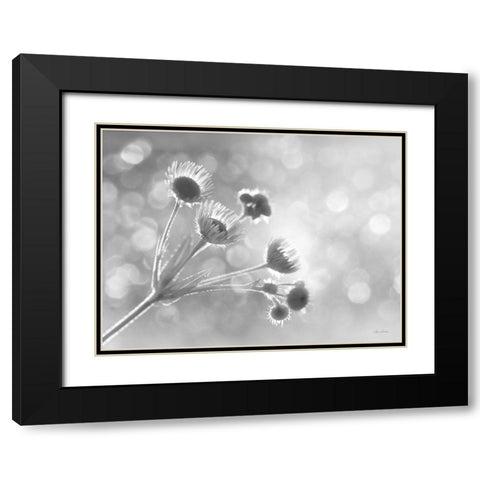 Wild Flowers I Black Modern Wood Framed Art Print with Double Matting by Deiter, Lori