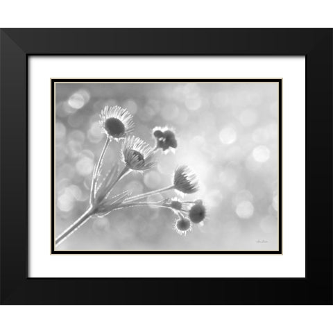 Wild Flowers I Black Modern Wood Framed Art Print with Double Matting by Deiter, Lori